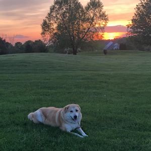 Meet your Posher, Diane